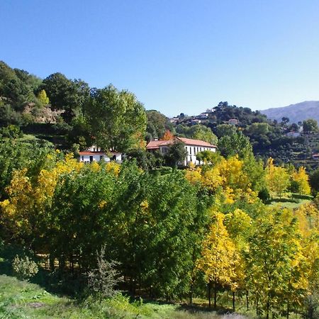 Quinta Do Ervedal Affittacamere Baião Esterno foto