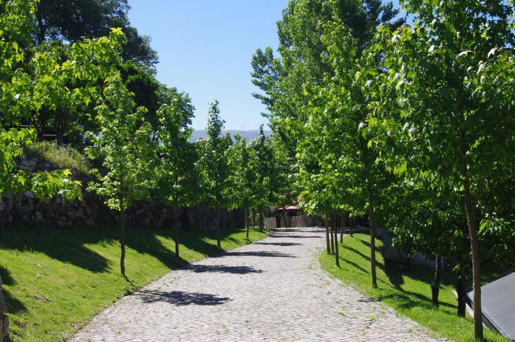 Quinta Do Ervedal Affittacamere Baião Esterno foto